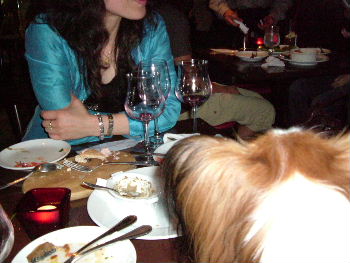 c0044199_054394.jpg