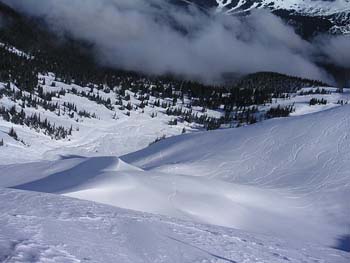 b0061004_1243784.jpg