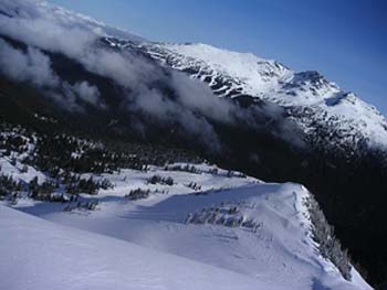 b0061004_12463497.jpg