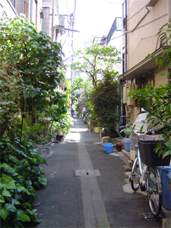 c0006904_011169.jpg
