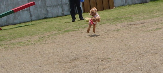 c0041207_19443296.jpg