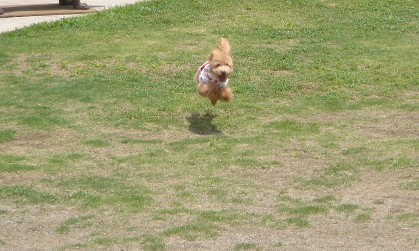 c0041207_19474397.jpg