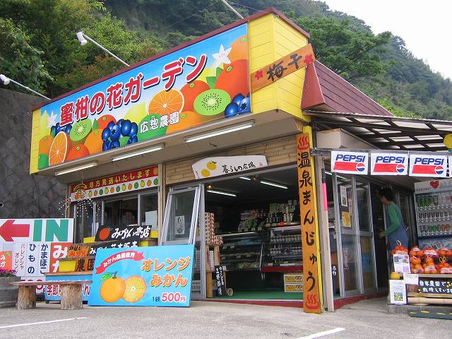 b0046939_1631643.jpg