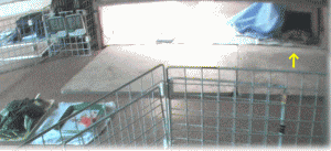 b0055276_0153480.gif