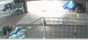 b0055276_0163194.gif