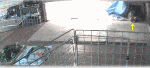b0055276_0164732.gif