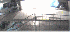 b0055276_017242.gif