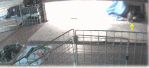 b0055276_017583.gif