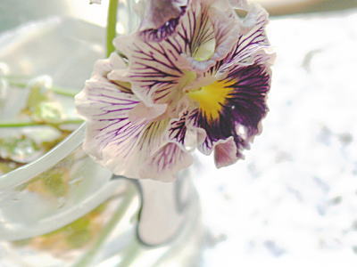 d0034988_21194271.jpg