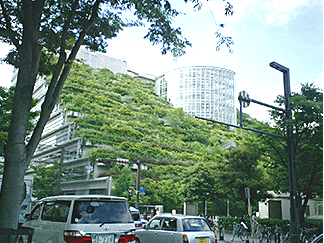 c0049601_2122259.gif