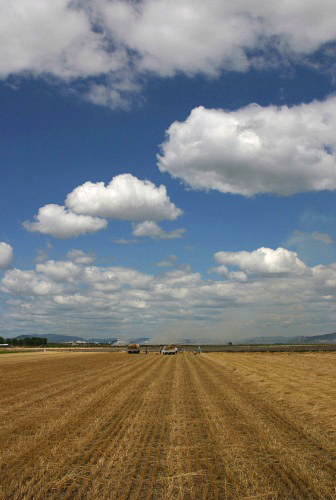 d0010607_23141878.jpg