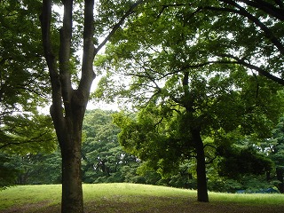 d0023323_1275413.jpg