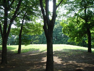 d0023323_193527.jpg