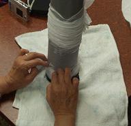 c0061331_131347.jpg