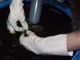 c0061331_1334830.jpg