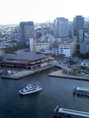 b0003650_2340992.jpg