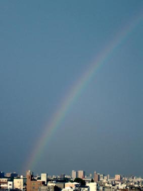 c0069552_15324941.jpg