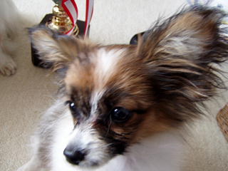 c0074156_222449.jpg