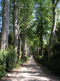 c0032863_172492.jpg