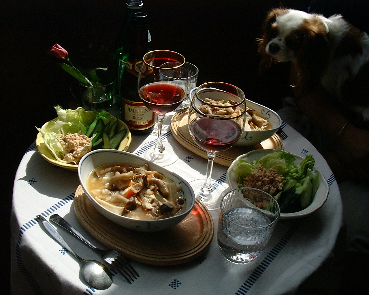d0028072_15513954.jpg