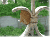 b0055276_0235580.gif