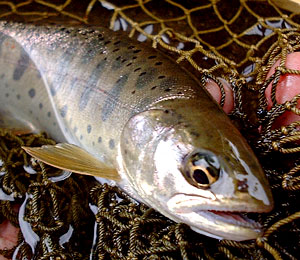 b0049180_22392146.jpg