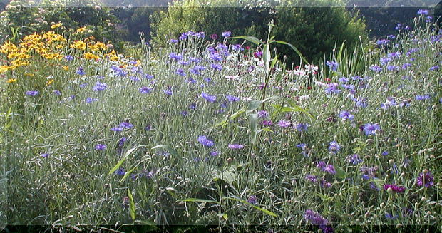 d0014690_21112557.jpg