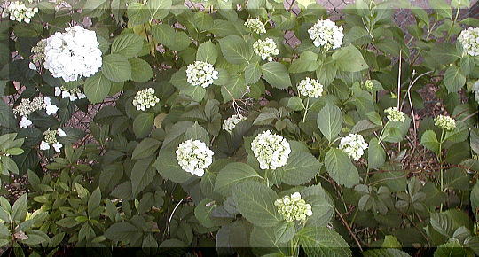 d0014690_21123156.jpg