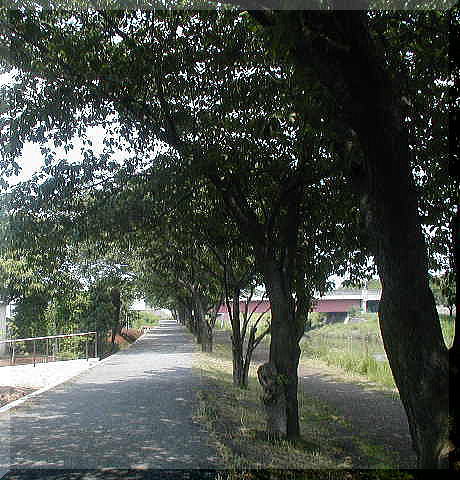 d0014690_2175172.jpg