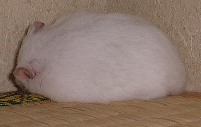 c0004601_162713.jpg