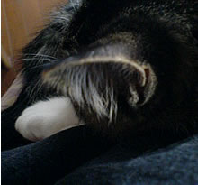 c0035001_152716.jpg