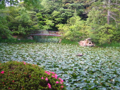 d0047811_2205714.jpg
