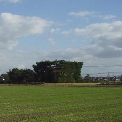 c0036617_749269.jpg