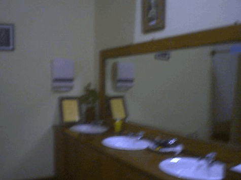 d0038319_8583953.gif