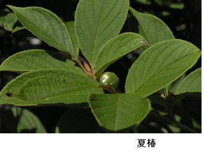 b0063922_8332978.jpg