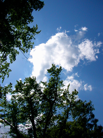 d0008925_21152222.jpg