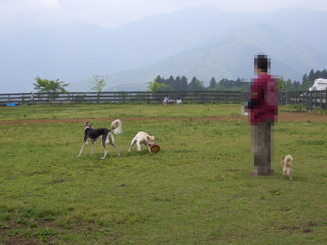 d0016727_15333993.jpg