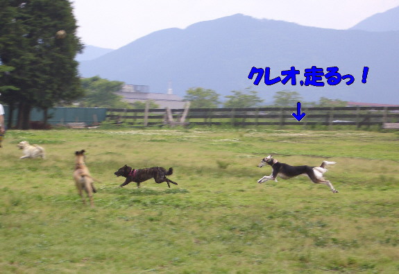 d0016727_18364865.jpg