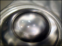 b0000034_23172371.jpg