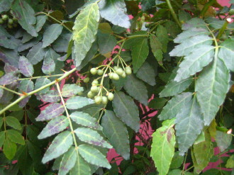 d0004651_20483098.jpg