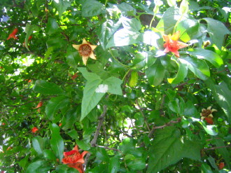 d0004651_2111554.jpg