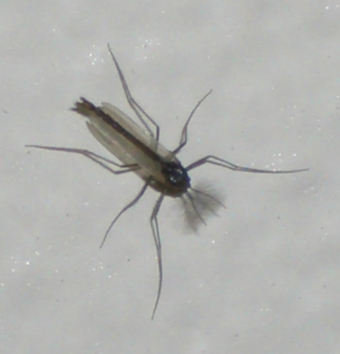 a0004657_00896.jpg