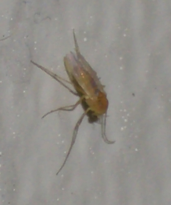 a0004657_23584284.jpg