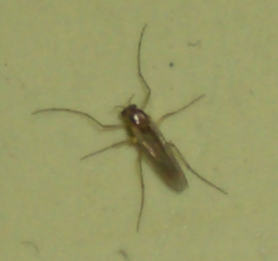 a0004657_23585828.jpg