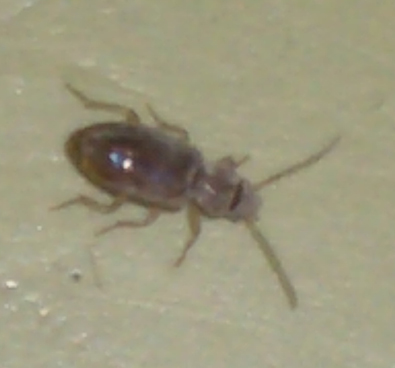 a0004657_23593566.jpg