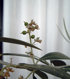 c0067459_0253891.jpg