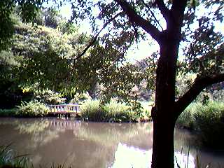 b0046664_22594828.jpg