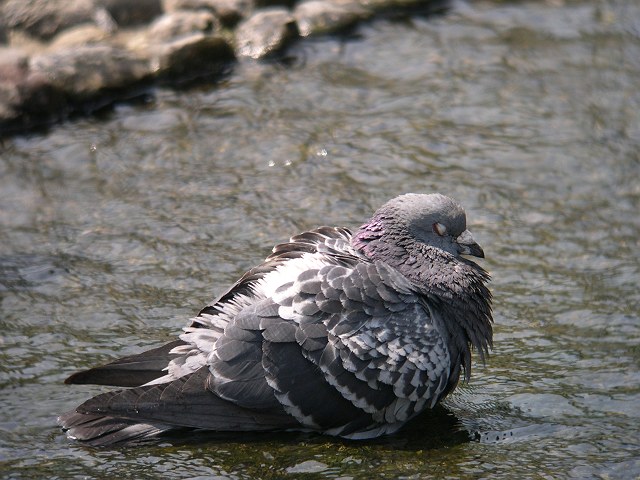 b0069564_20141169.jpg