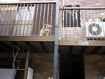 b0060071_0591578.gif