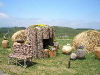 b0003280_9262640.jpg